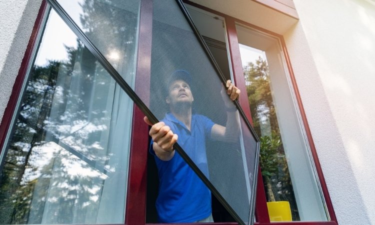 Replacing a window glass