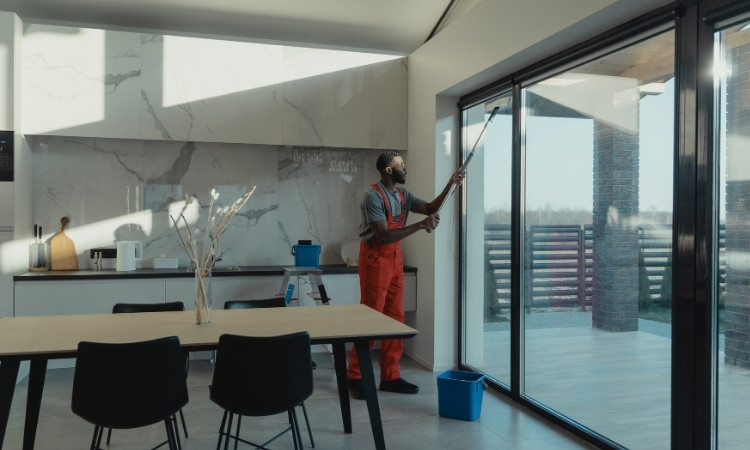 How to Clean and Maintain Your Window Screens